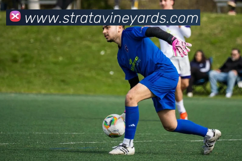 扫码下载 App